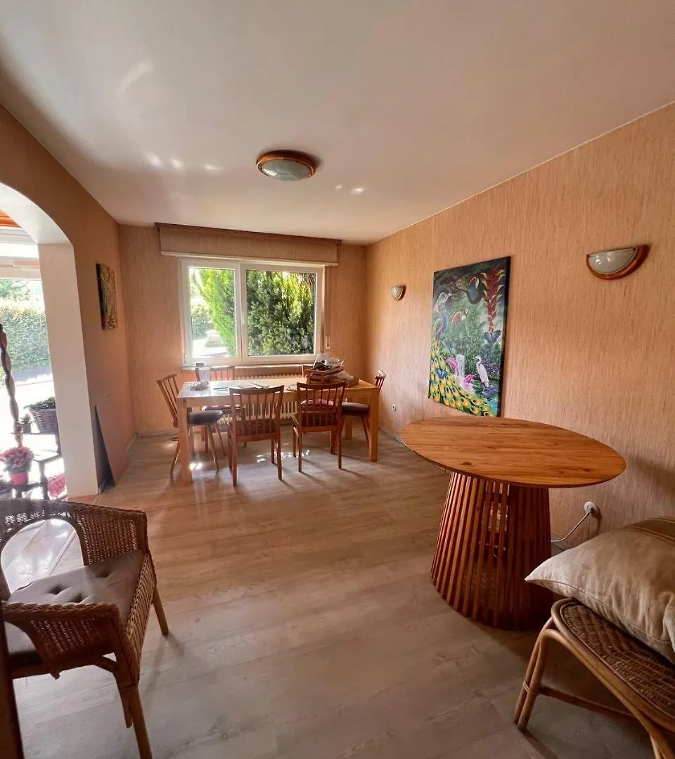 מלון היידלברג Casita Am Berg גרמניה
