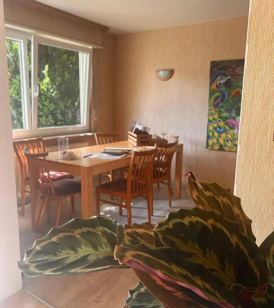 מלון היידלברג Casita Am Berg בית הארחה